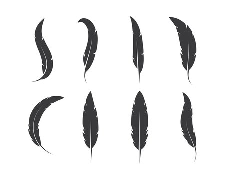 Fototapeta feather icon illustration vector template