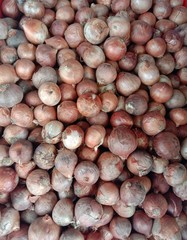 Shallot is an herb that is popularly used in the head. By creating separate head groups But connected together in the area that is the base of the head Shallots are considered an important economic pl