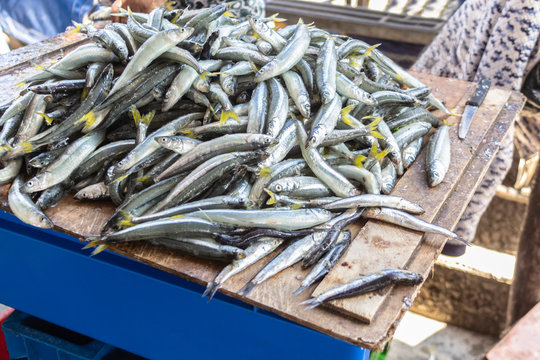Odontesthes regia, Chilean silverside or pejerrey basket in the fish market, huarmey fishing pier
