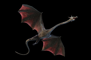 Naklejka premium dragon, flying fairy tale animal isolated on black background, bottom view