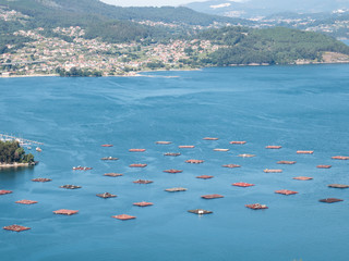 mussels bats in aerial view of the rias baixas as it passes through redondela