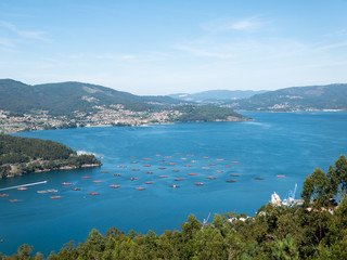 Naklejka premium mussels bats in aerial view of the rias baixas as it passes through redondela
