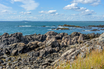 Fototapeta na wymiar Rocky Beach Sea Coast of Maine