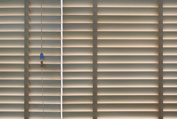 Wood blinds or curtain by the window.