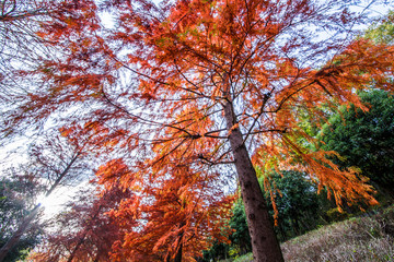 ドラマに出てきそうなシチュエーションを見に行こう！