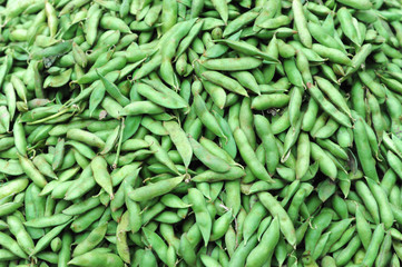 close up on green soybean pod as food background