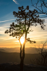 One of the best hikes on the east coast - McAfee knob at sunrise