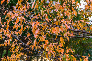 ドラマに出てきそうなシチュエーションを見に行こう！