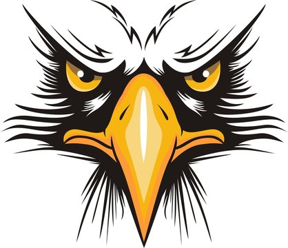 Eagle head logo for t-shirt, Hawk mascot Sport wear typography emblem graphic, athletic apparel stamp.