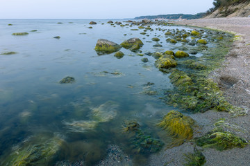 seascape with rocky beach covered with mud, large boulders in the water in the twilight