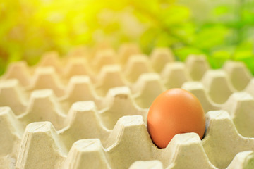 Only one egg,brown egg,eggs in carton box.Organic food