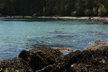 Christmas friends happiness love alone sad happy 