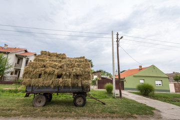 Straw cart standing, loaded with hay, standing next to a field, in front of houses and farms, in...