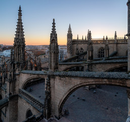 The flying buttress from the roof of the cathedral of Sevilla, Spain during sunset
