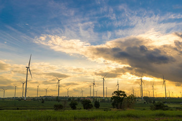Wind farms silhouette at sunset