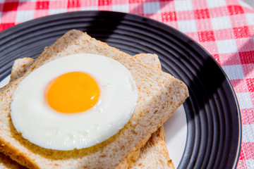 Fried egg with whole grain toast on the plate
