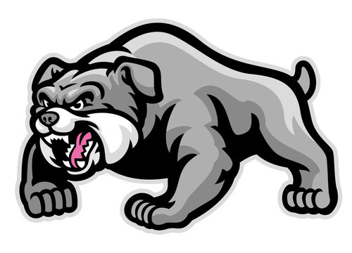 mascot of muscle bulldog