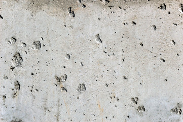 Background, gray Concrete slab with  shells.