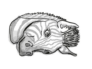 Zebra Head Cartoon Retro Drawing