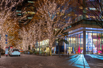 Obraz premium Festiwal zimowej iluminacji Tokyo Marunouchi, słynne romantyczne imprezy w mieście, piękny widok, popularne atrakcje turystyczne, wakacyjne cele podróży, Japonia