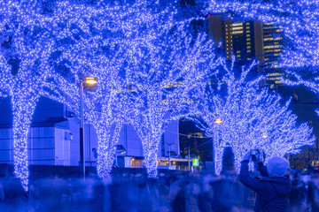 Shibuya Blue Cave winter illumination festival, beautiful view, popular tourist attractions, travel...