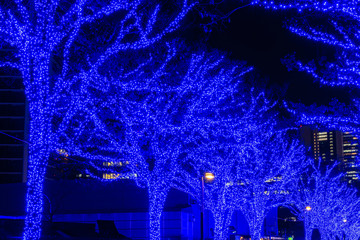 Shibuya Blue Cave winter illumination festival, beautiful view, popular tourist attractions, travel destinations for holiday, famous romantic light up events in Tokyo city, Japan