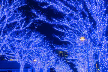 Shibuya Blue Cave winter illumination festival, beautiful view, popular tourist attractions, travel...