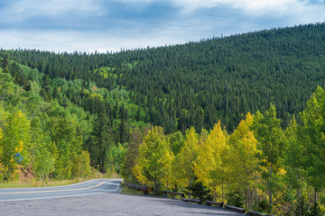 Low angle landscape of road in the mountains with aspen trees turning yellow near Idaho Springs,...
