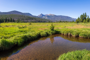 Rocky Mountain National Park landscape of stream or pool, tall grass and mountains in the background