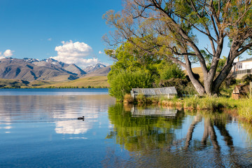 Reflecting views lake Alexandrina, New Zealand