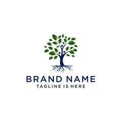 Obraz premium Logo church. Christian symbols.