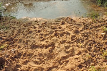 hot springs in yellowstone national park