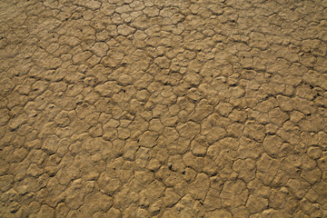 Mud crack at Racetrack in Death Valley National Park, California, USA