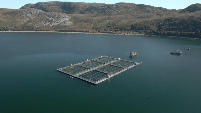 An aerial view of an aquaculture installation on Loch Eriboll in the Scottish Highlands on a sunny day. Rotating clockwise around the installation whilst descending.