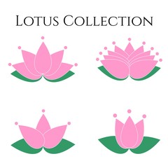 Lotus Collection