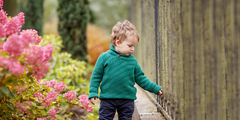 Little cute boy in the park. Close up picture of Lovely little boy in the autumn garden. Outdoor activities for children. Copy space