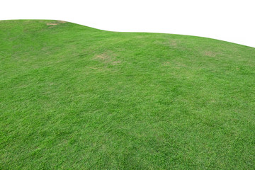 Green hill of grass field isolated on white background.