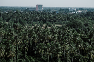 Natural scenery mountains and forests