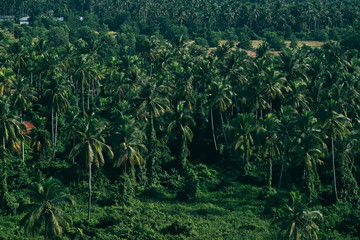 Natural scenery mountains and forests
