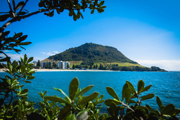 Fototapeta na wymiar Mt Maunganui