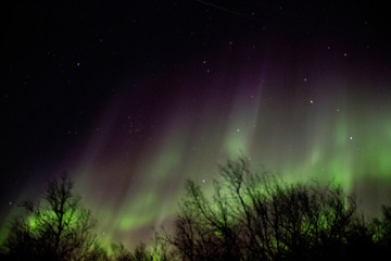 Fototapeta na wymiar Aurora boreal