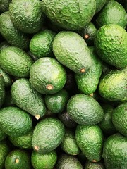 Closeup of bunch of fresh green avocado in the supermarket