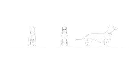 3d rendering sketch of multiple views of a Dachshund isolated in white