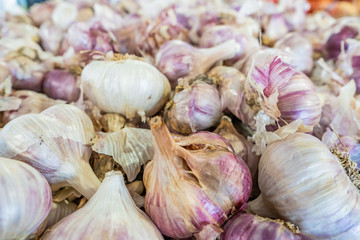 Pile of local purple garlic, dried and cured, being sold in bulk at a farmer's market.