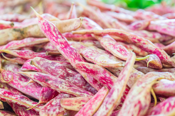 Pile of red romano beans (italian pole beans), being sold at a farmer's market. Red and white texture on the bean pods are showing.