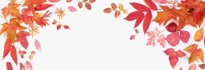 red autumn leaves on white background