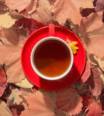 cup of tea on background autumn leaves