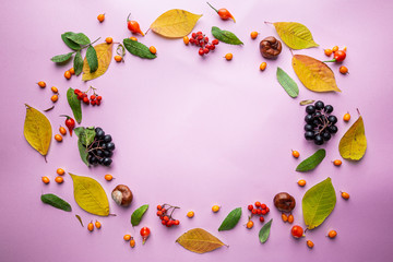 Autumn background composition. Frame made of berries and autumn leaves on pink. Top view, flat lay