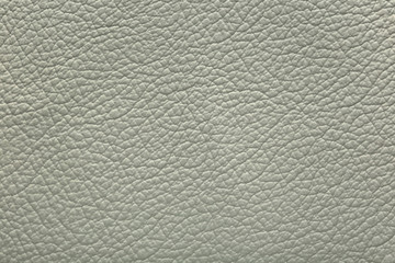 background texture gray leather