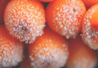 Frozen sea buckthorn berries covered with hoarfrost. Macro photo. Soft focus. Background of frozen...